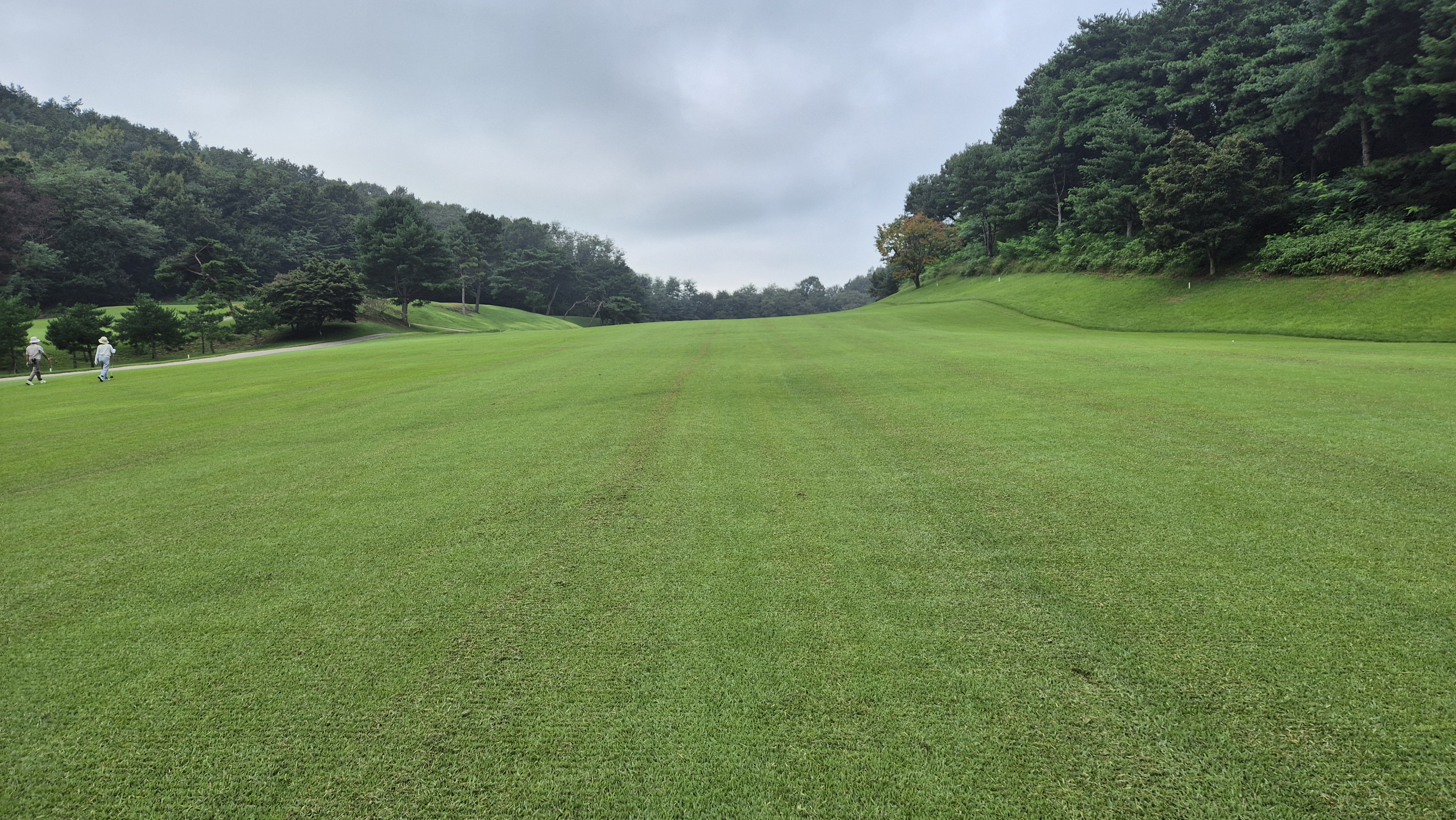 도고cc 코스 사진 및 공략 정보