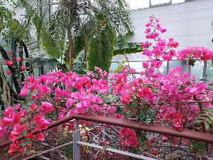 봄맞이 숙박 할인 페스타