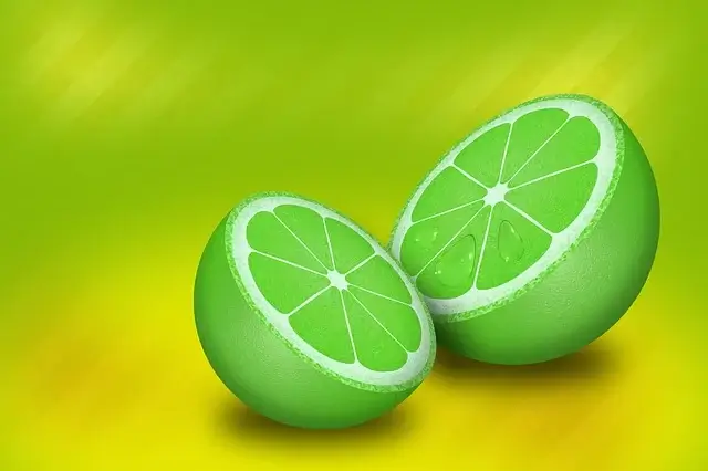 당뇨병 식이요법