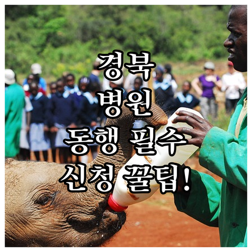 2025년 경북 아픈아이 병원 동행 ..