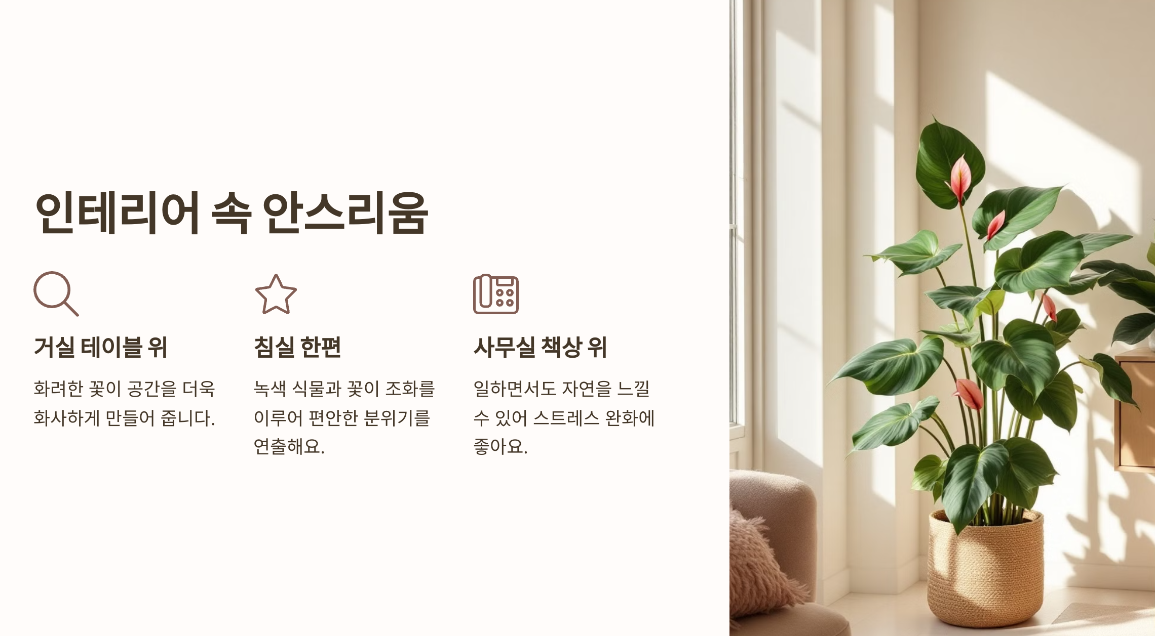 아스리움 꽃 사진