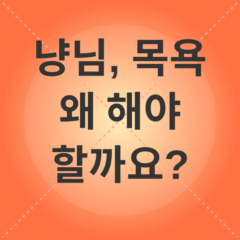 고양이 목욕_1