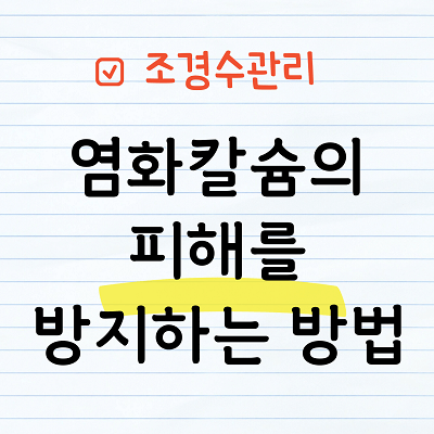 염화칼슘의 피해를 방지하는 방법