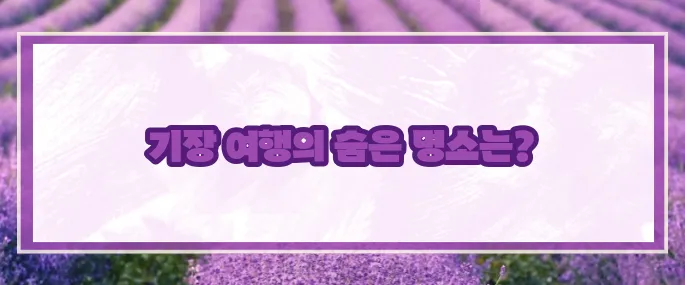 기장 가볼만한곳 베스트10 2025 (+가족여행코스)
