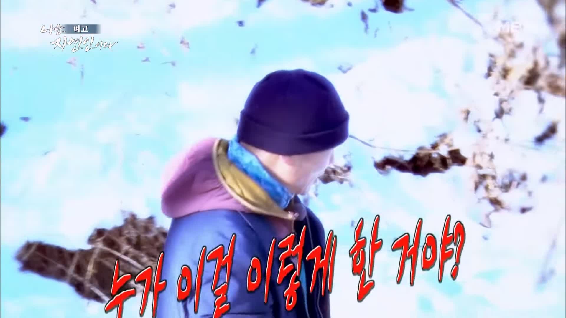 나는 자연인이다 겨울왕국 혹한 자작나무 피톤치드 닭개장 동치미 국수 자연인 김명기 소개 및 이승윤 출연 536회 다시보기