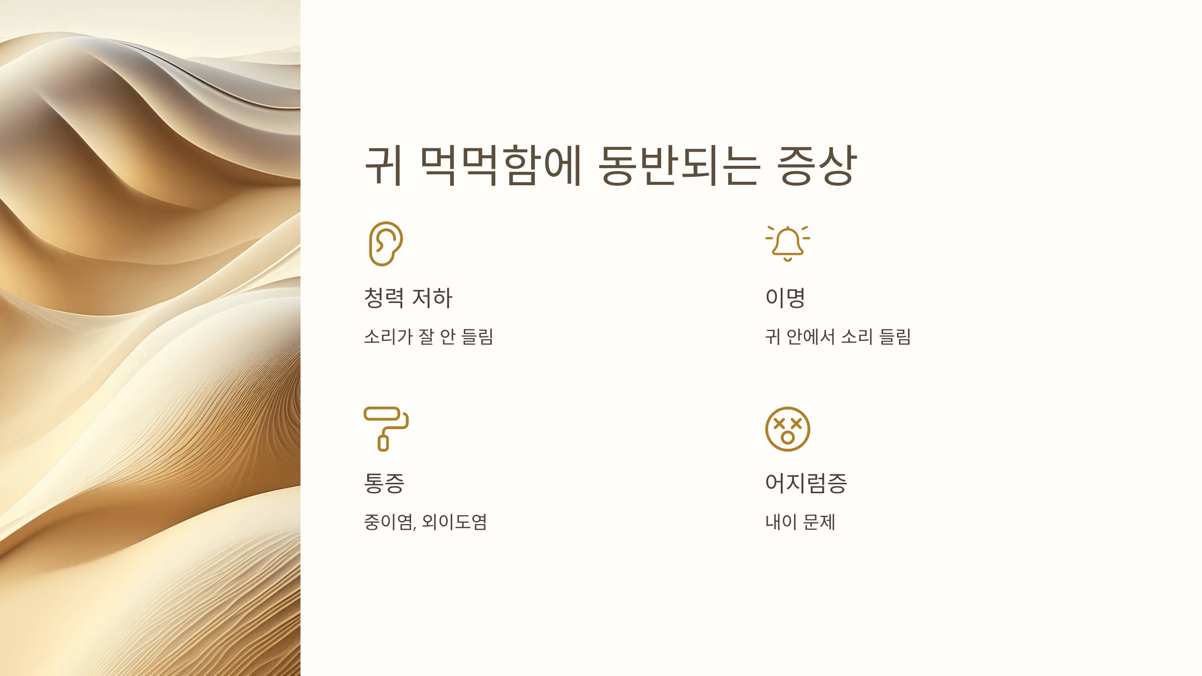 귀 사진입니다.