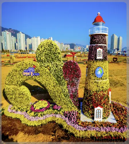 마산 가고파 국화축제_2