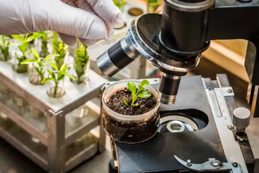 식물학의 세계 탐구