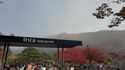 단풍명소_화담숲