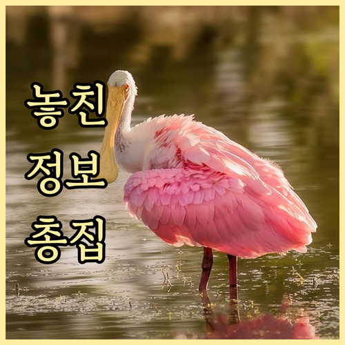 한국인 ESTA 거절 사례 비자 신청..