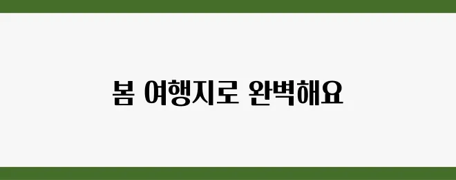봄철 가족 전용 리조트 TOP 5