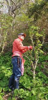 2024 문갑도 벙구나물 축제 기본일정과 특징 소개