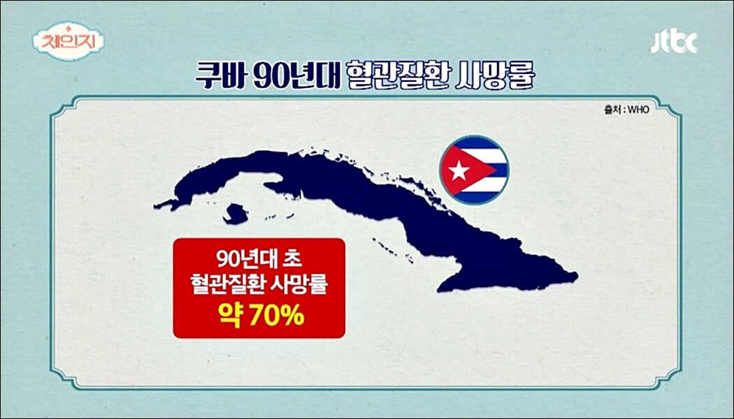 폴리코사놀 효능 부작용 총정리