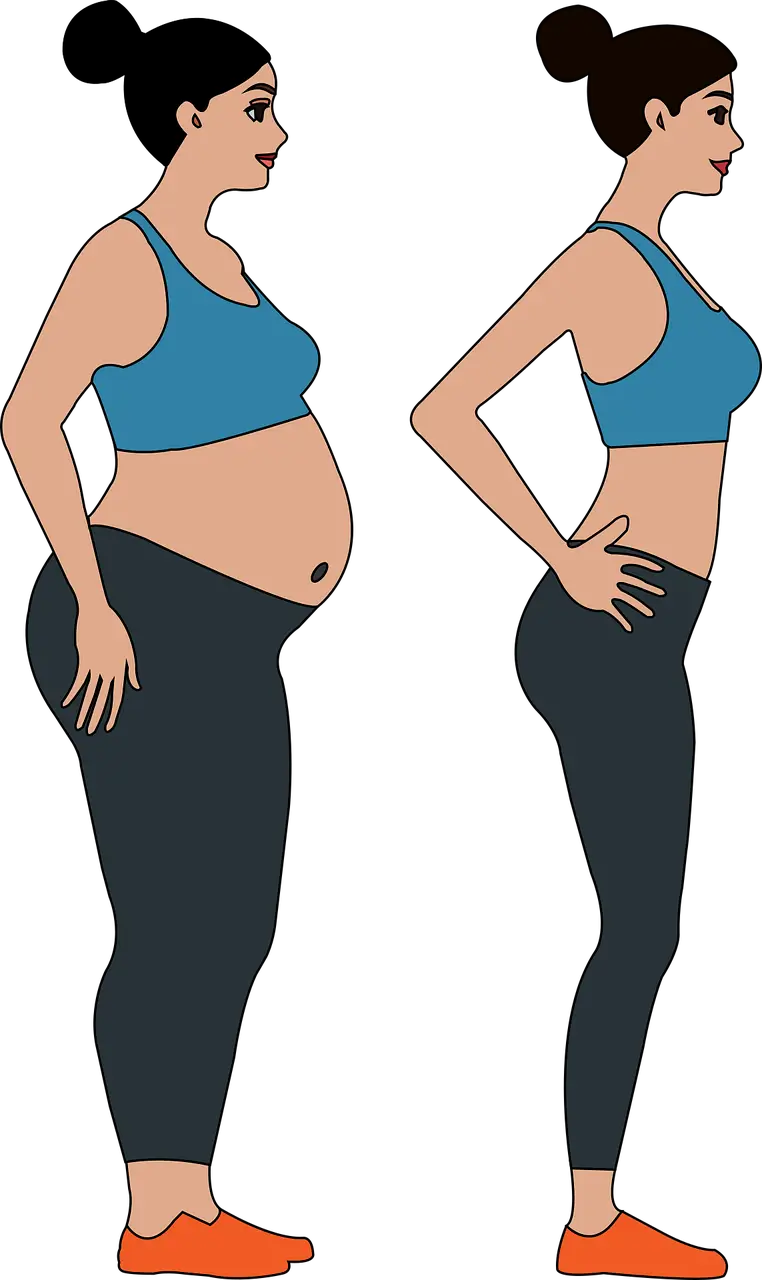 위고비 실비보험