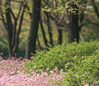 기초연금수급자격-신청방법