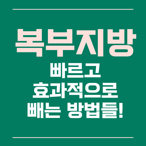 복부지방제거