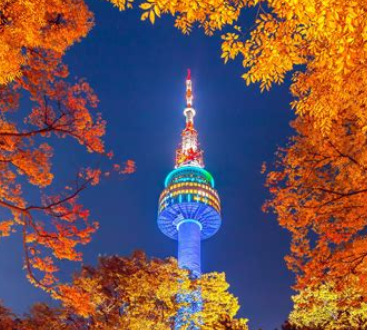 11월 서울 경기도 축제12