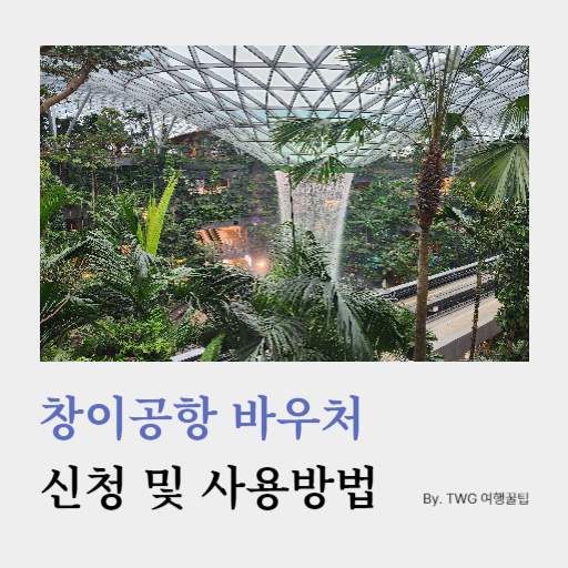 창이공항 바우처