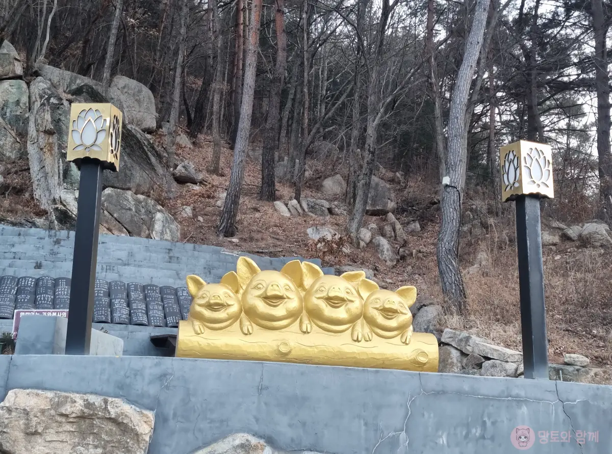 돼지상