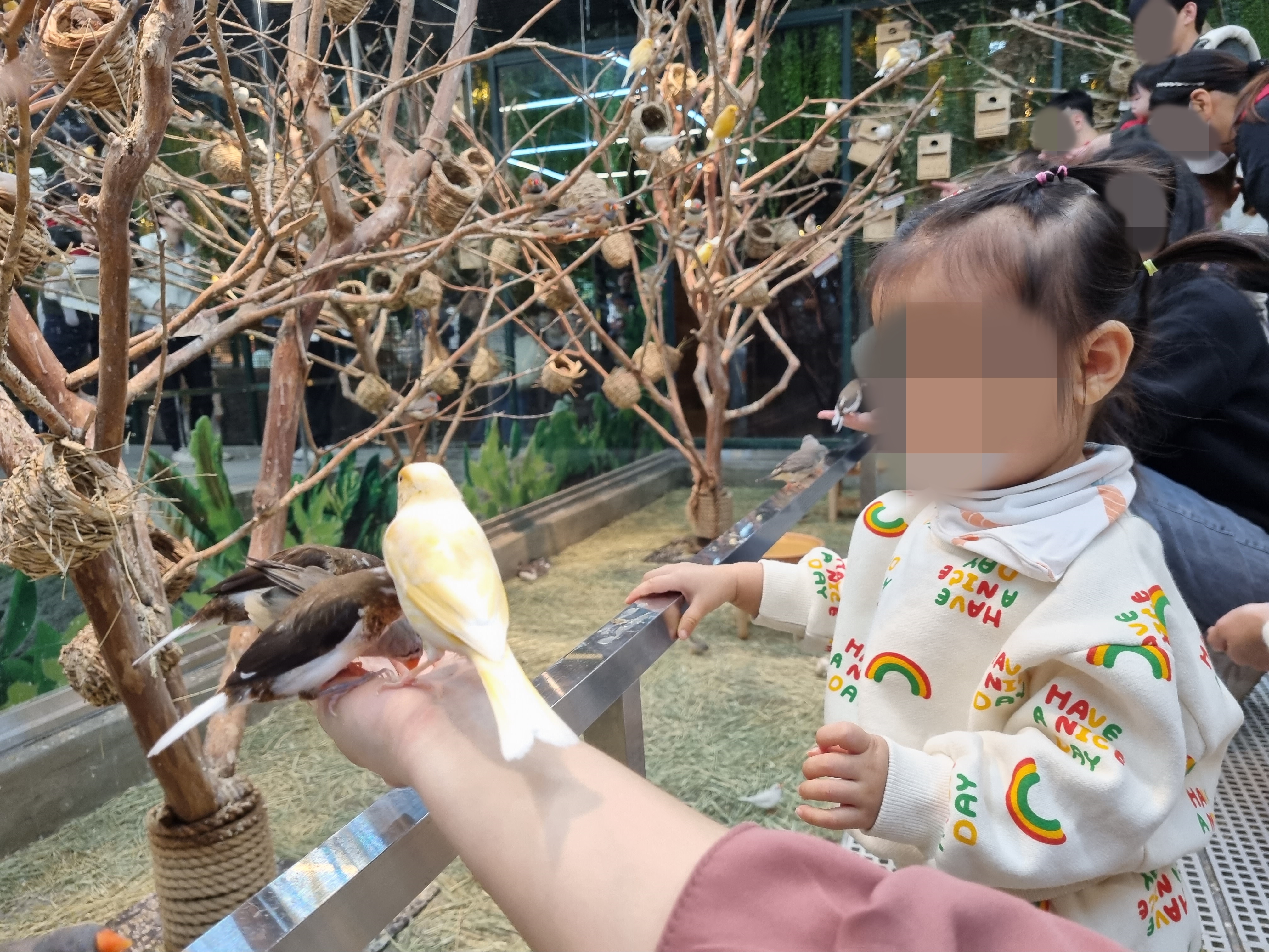 새 모이주기 체험 