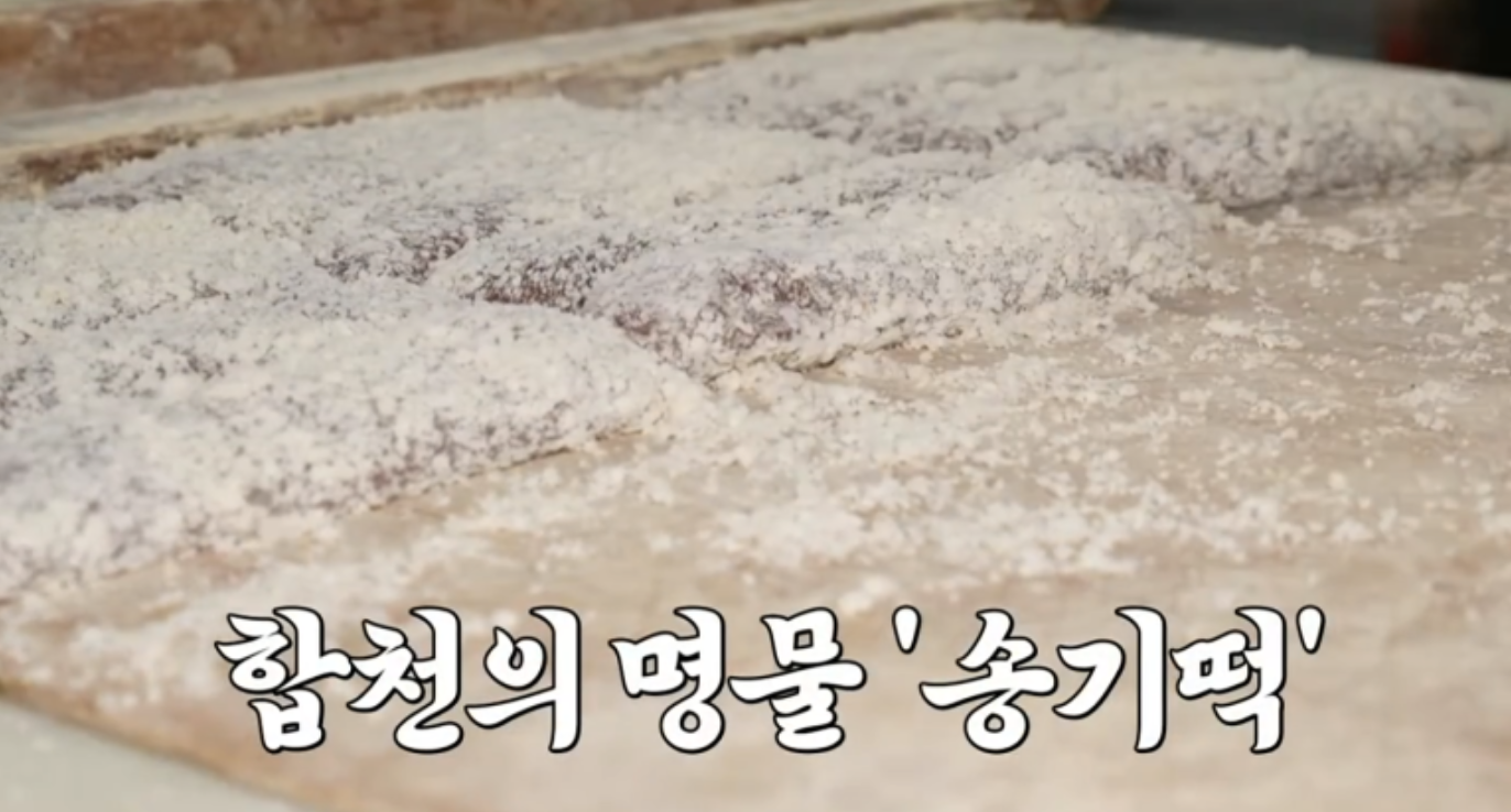 6시내고향 합천 송기떡