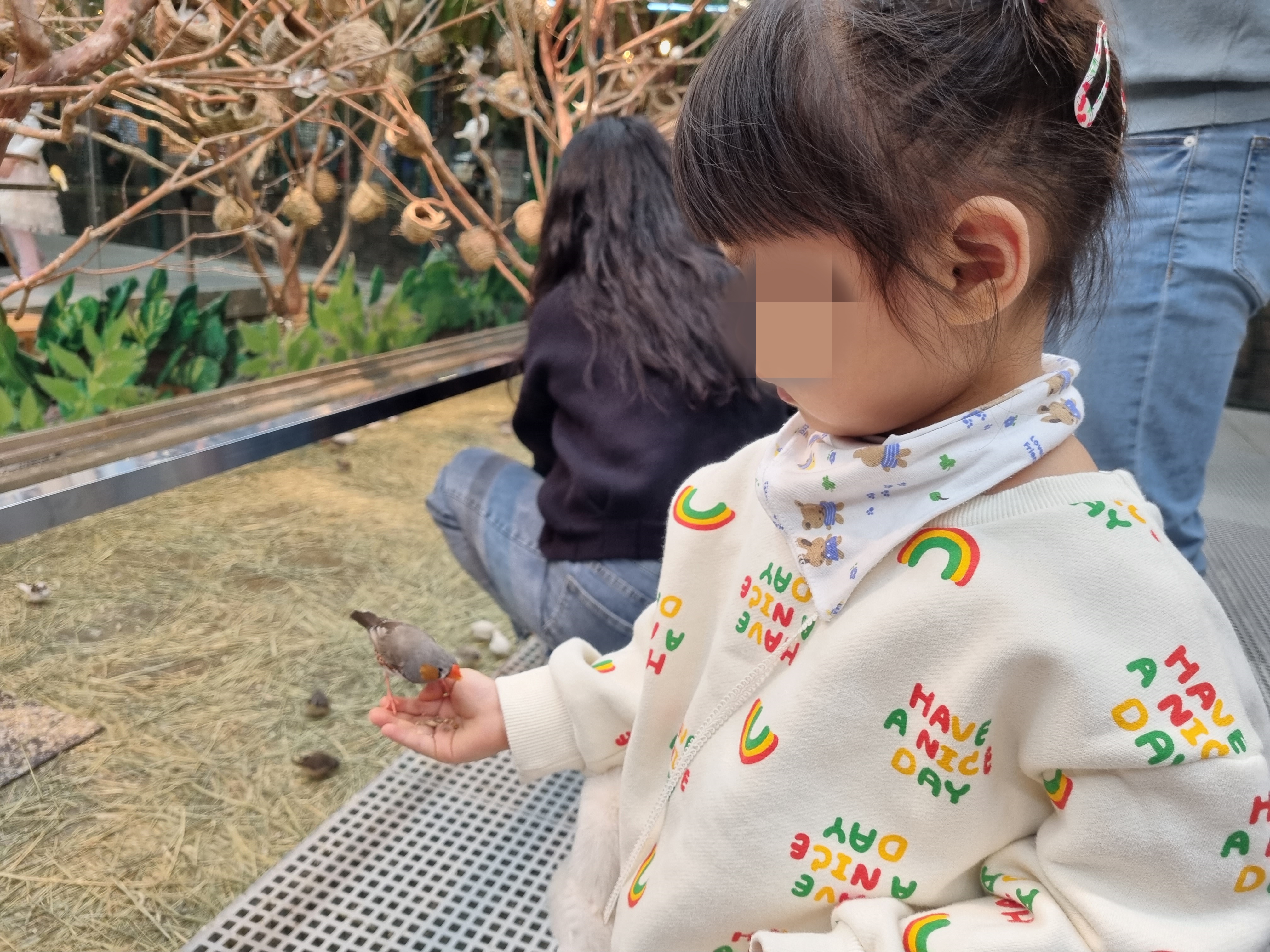 새 모이주기 체험