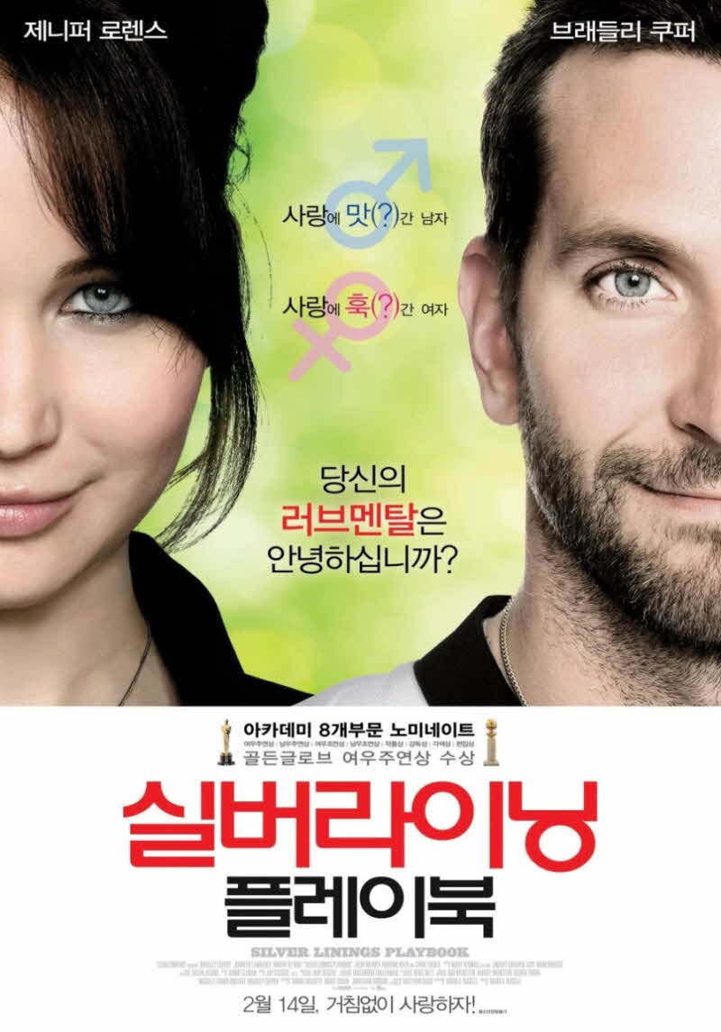영화 실버라이닝 플레이북 공식 포스터