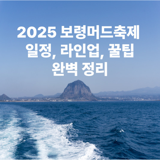2025 보령머드축제 : 일정&amp;#44; 라인업&amp;#44; 꿀팁&amp;#44; 완벽 정리