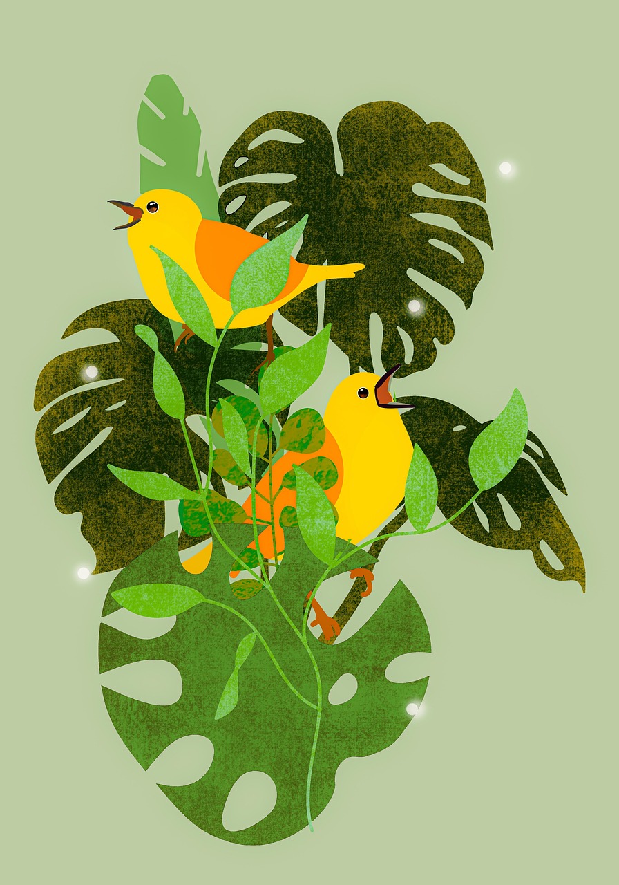 희귀 수집 문화 관련 사진