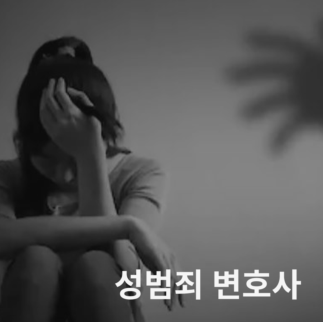 성범죄 변호사