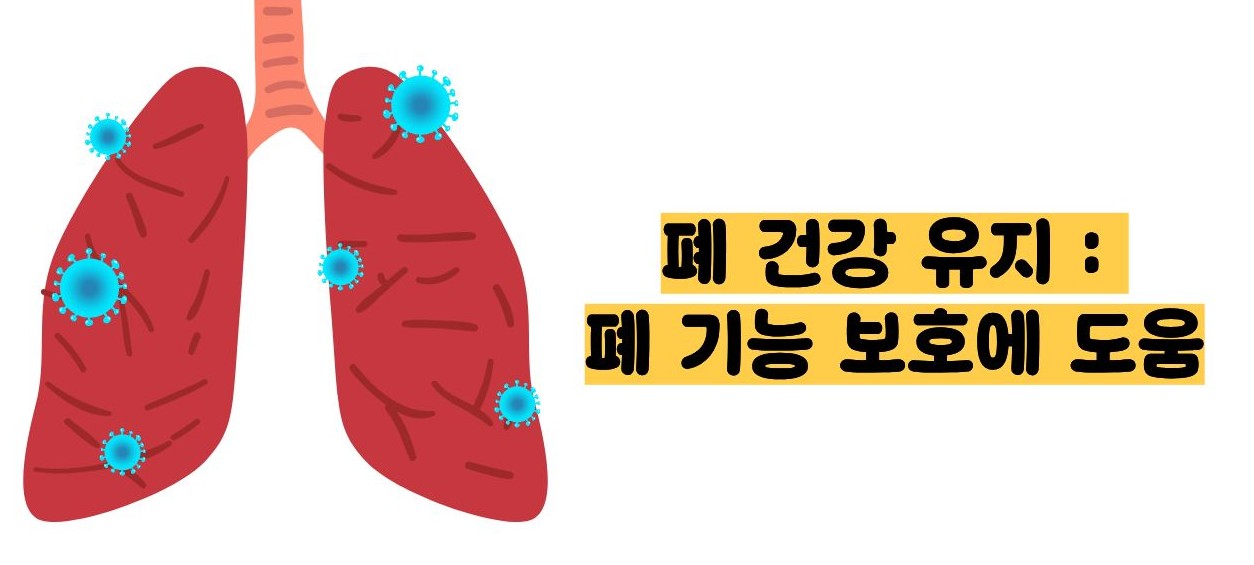 도라지청의 효능
