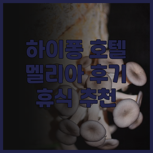 하이퐁 호텔 추천 멜리아 빈펄 하이퐁