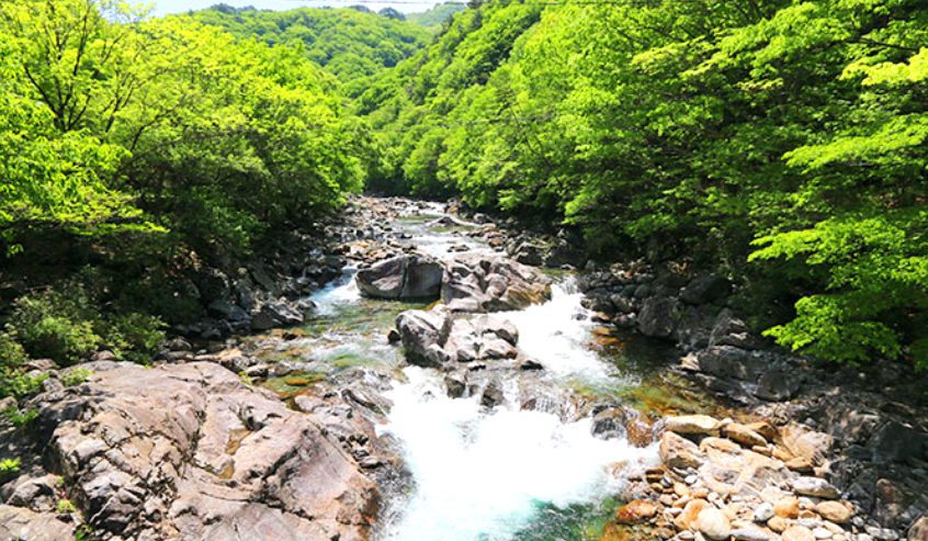 남원 지리산 뱀사골