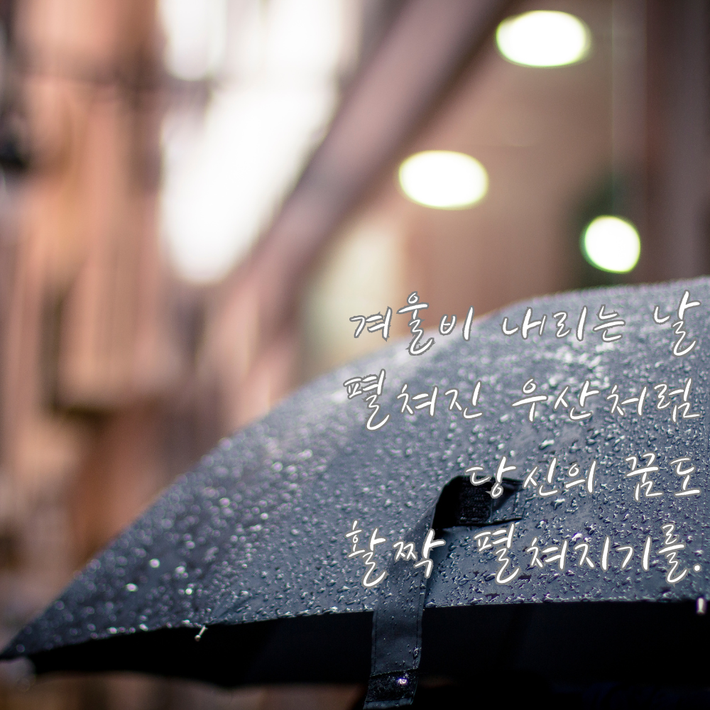 겨울비 오는날 인사말 이미지