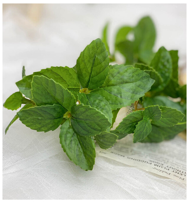 민트 아이스 녹차 만드는 방법