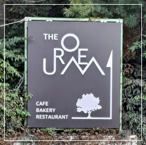 [서오릉 카페-디오름]-모든-곳이-포토존!-다양한-컨셉의-인생샷-맛집