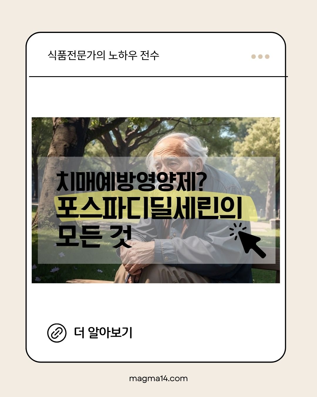 치매예방영양제 포스파디딜세린