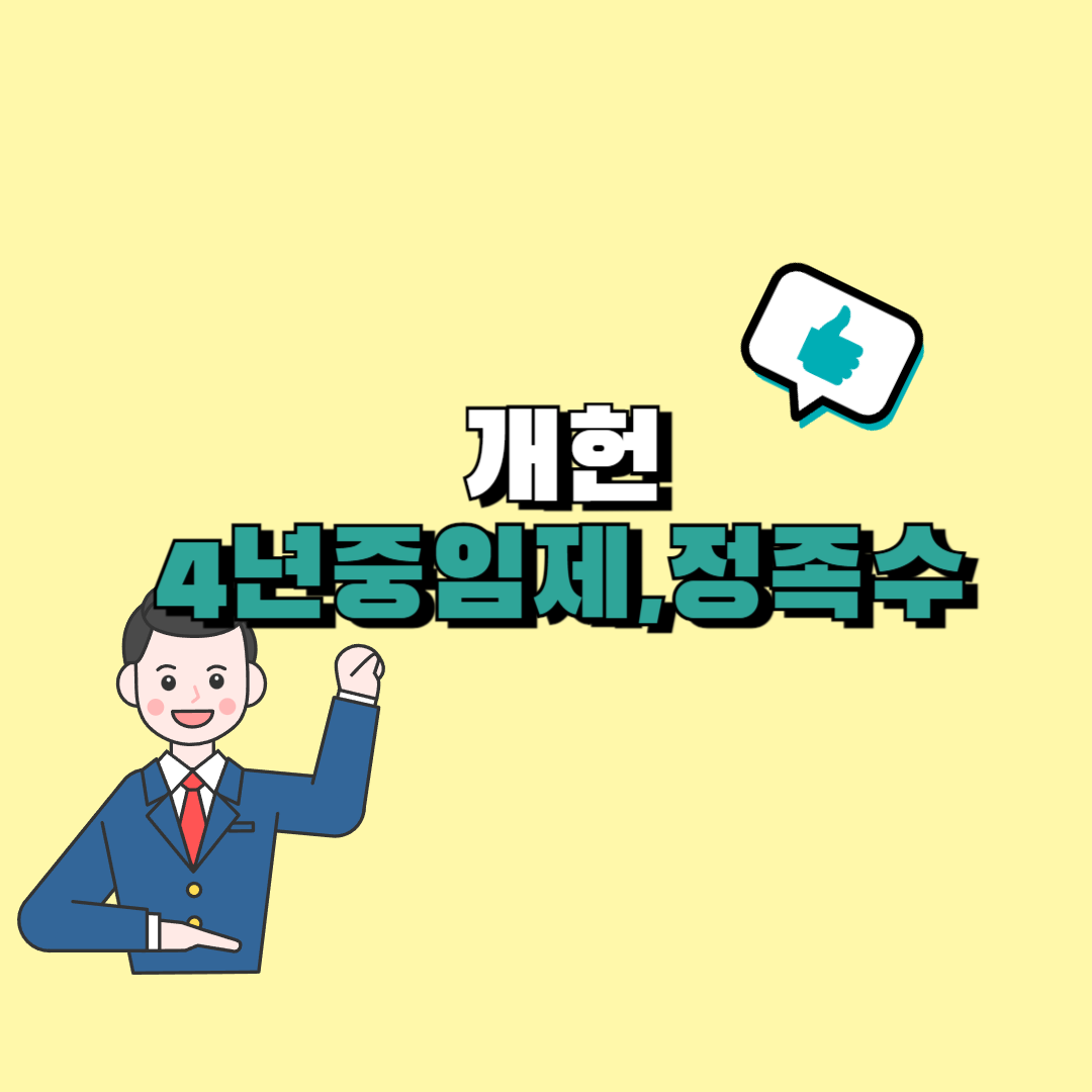 개헌 의석수