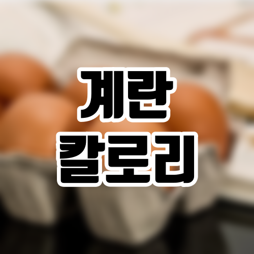 계란 칼로리