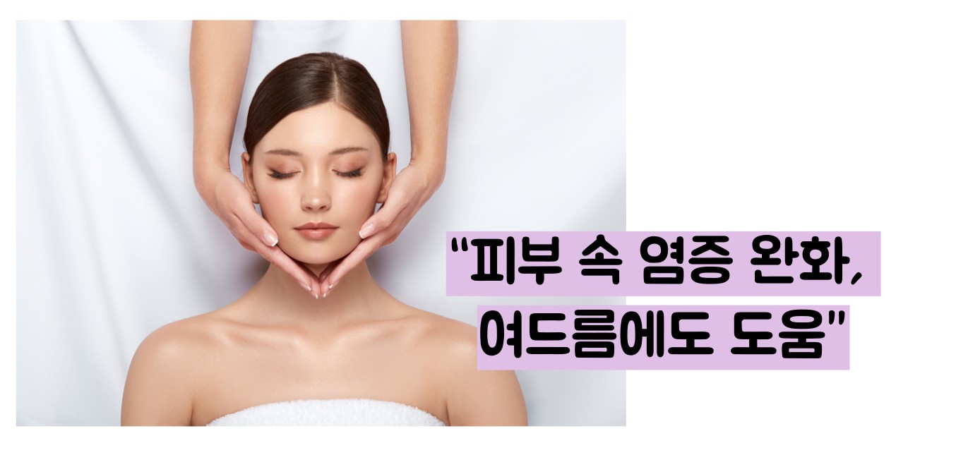 블루베리 효능