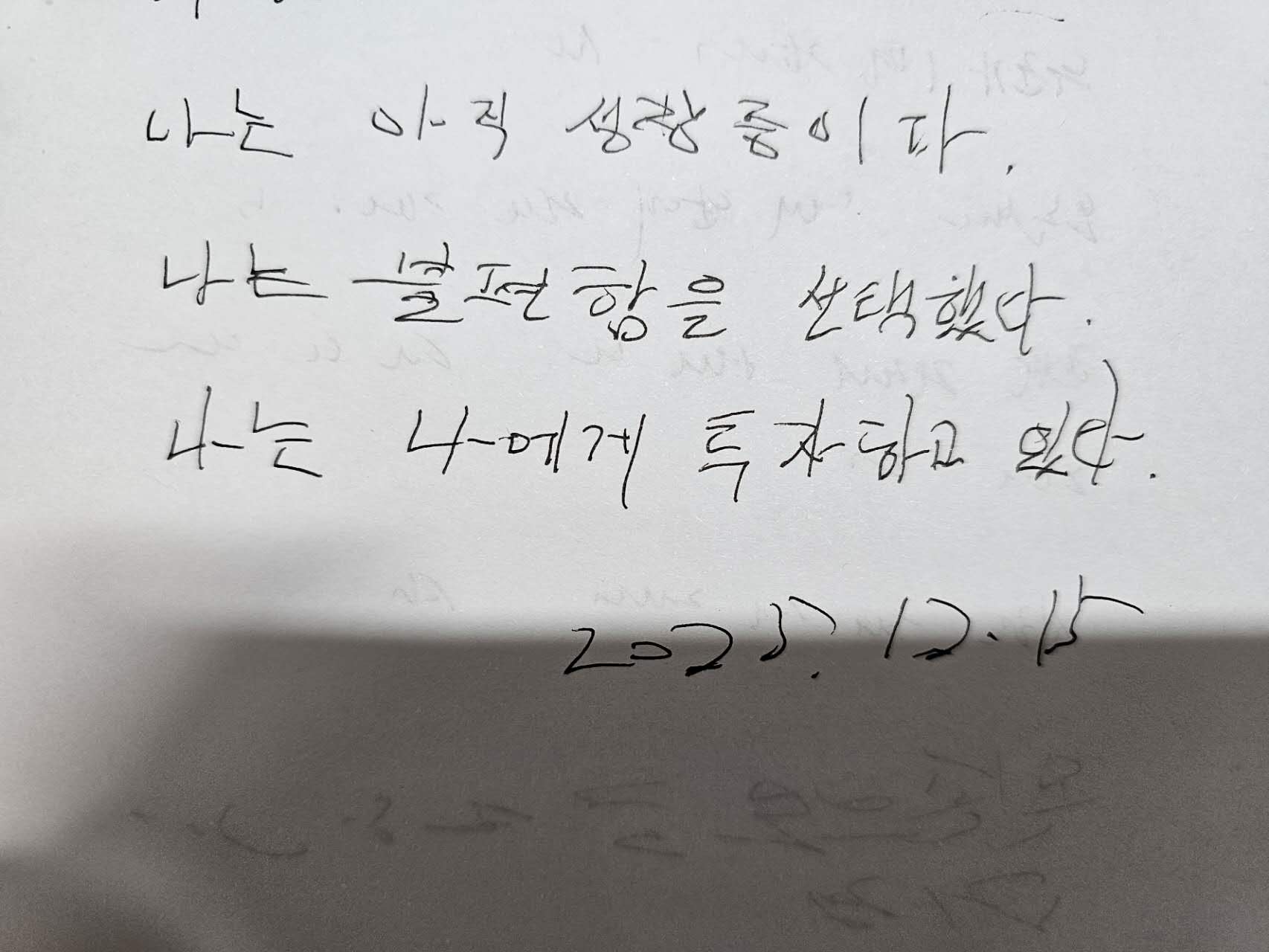 나는 오늘부터 왼손으로 글을 쓴다