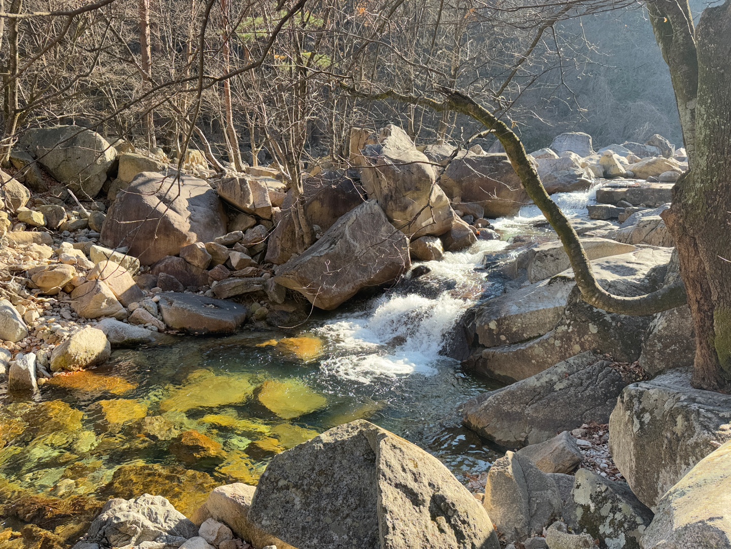 설악산 신흥사