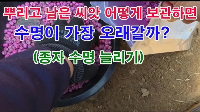 씨앗 저장법 건조 저온 밀봉 발아율 유지 교체 주기_5