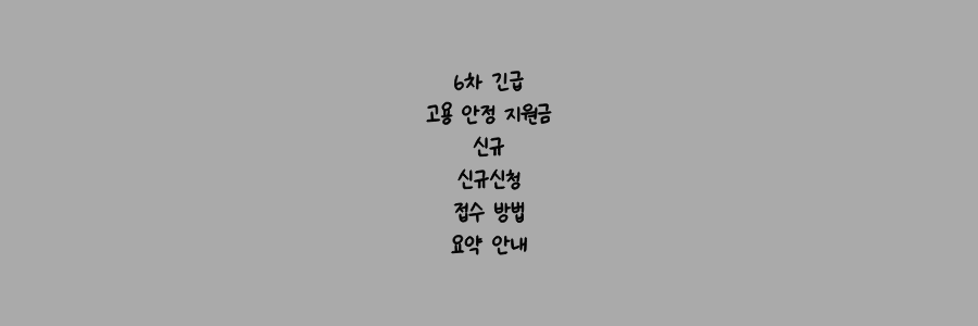 6차 긴급 고용 안정 지원금 신규 신규신청 PC 접수 방법 및 신청기간