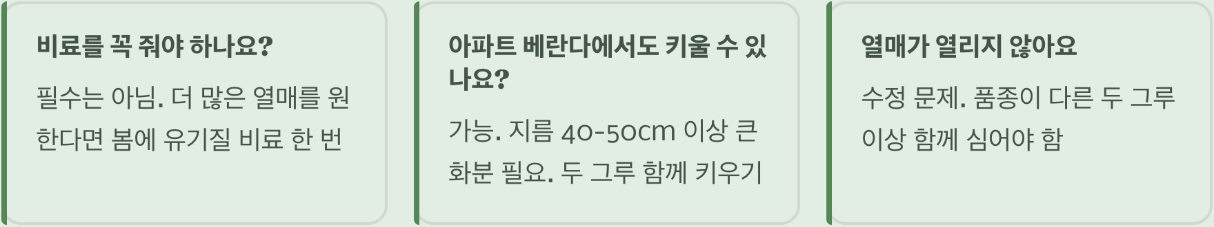 깨금 나무 키우기, 씨앗 발아부터 수확까지 완벽 가이드