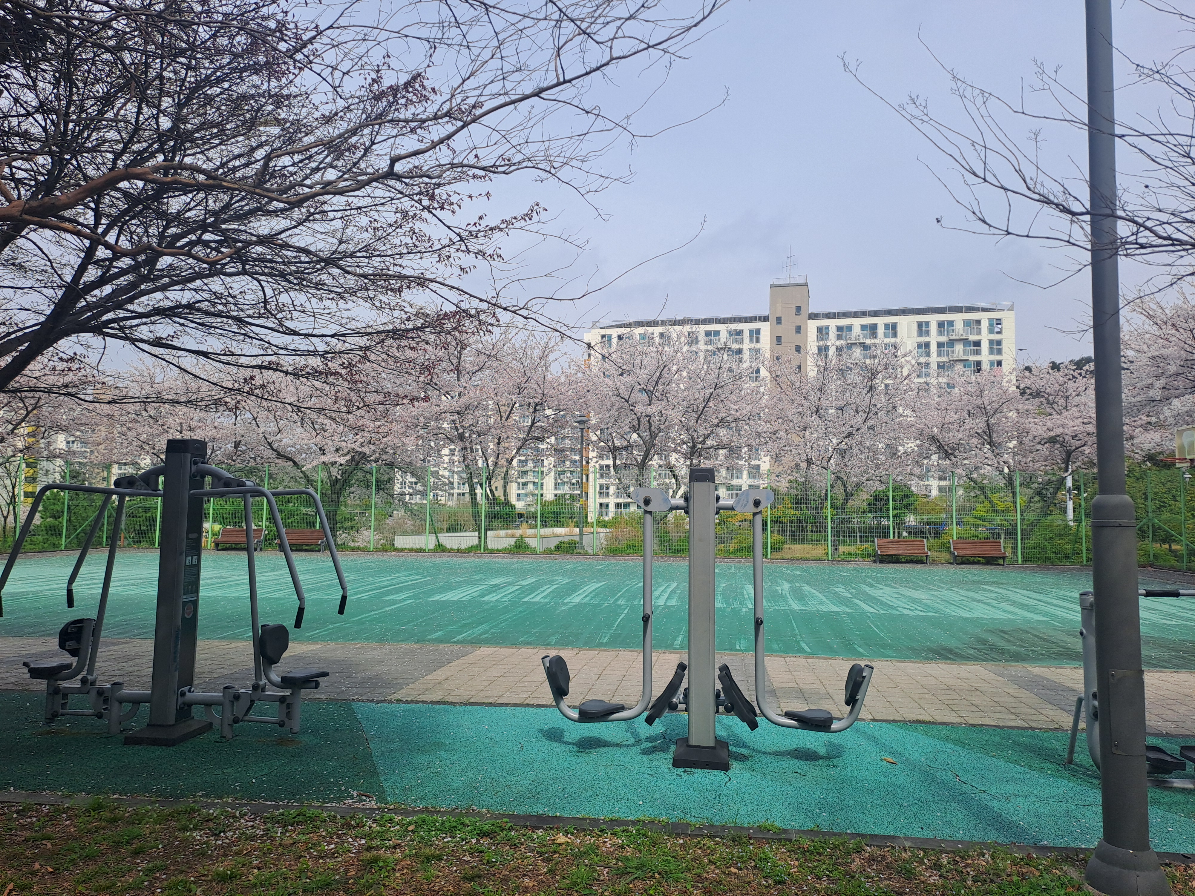 공원운동 루틴 짜는 법 (초보자, 중급자, 강도별)