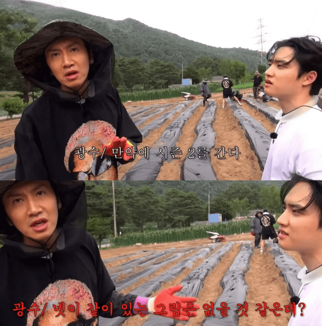 콩콩팥팥 광수 도경수