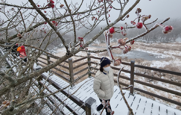 최근 '제주 한라산에서 라면 먹기 인증'이 유행하면서 한라산은 라면 국물 때문에 골치를 앓고 있다. 사진은 지난해 11월 13일 오전 제주 한라산 1100고지 습지를 찾은 관광객들이 눈쌓인 탐방로를 걸어가고 있는 모습. [사진=뉴시스]