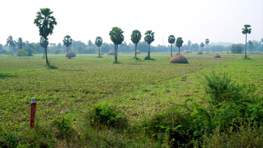 Land Register