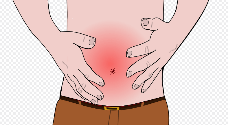 방귀 냄새가 심한 이유가 되는 관련 사진 - 1